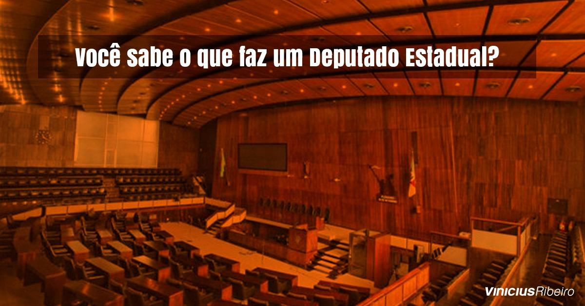 Voc Sabe O Que Faz Um Deputado Estadual Vinicius Ribeiro