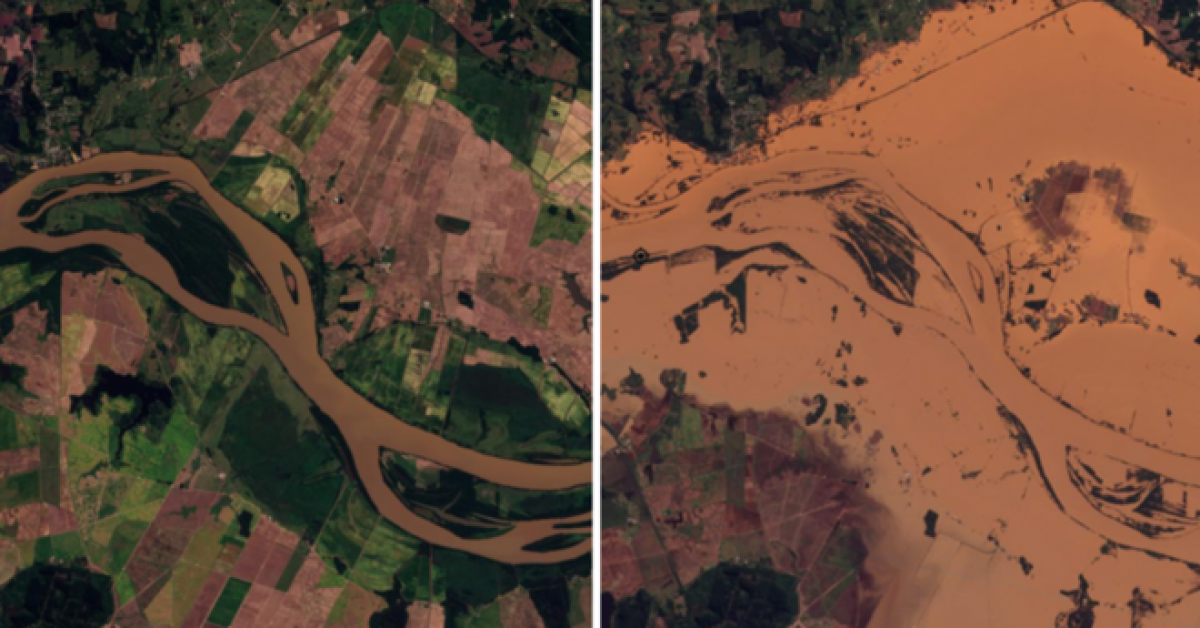 Resiliência e Solidariedade 